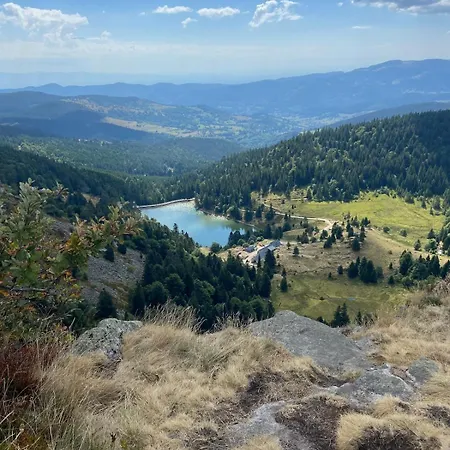 Joli F2 Le Du Tot Rdc * Sapois (Vosges)