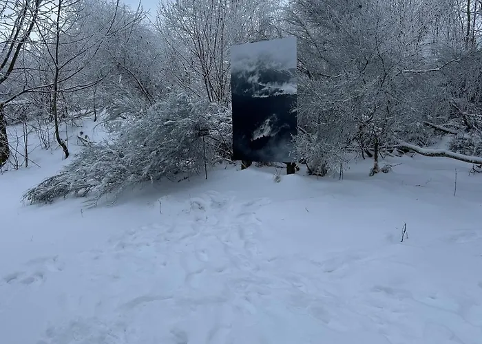 Joli F2 Le Du Tot Rdc Apartment *