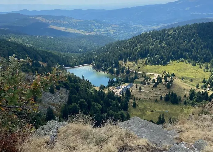 Joli F2 Le Du Tot Rdc * Sapois (Vosges)