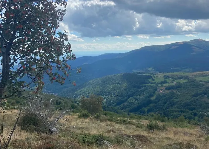 Apartment Joli F2 Le Du Tot Rdc Sapois (Vosges)